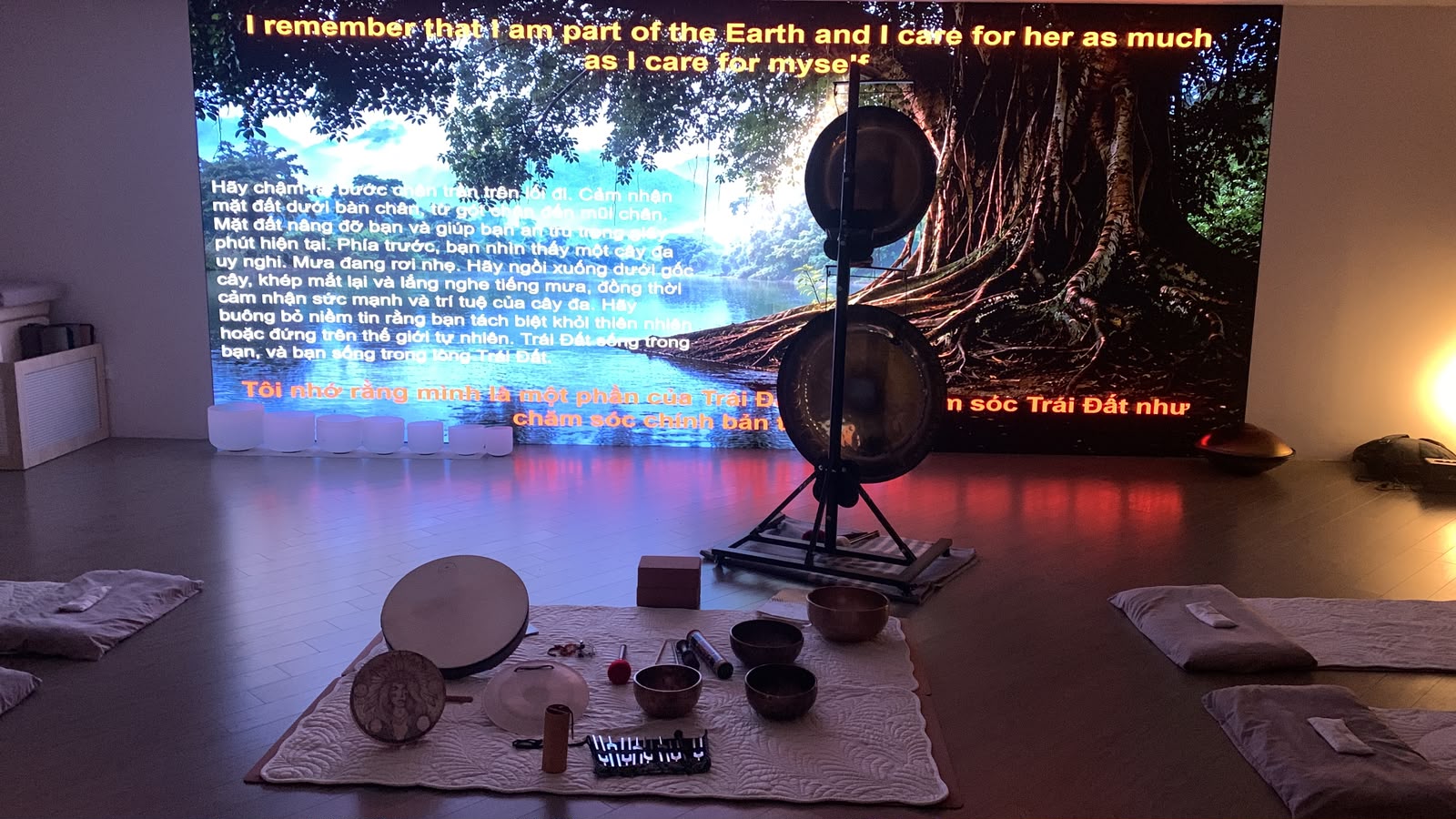 Gongs et instruments variés devant un paysage de nature